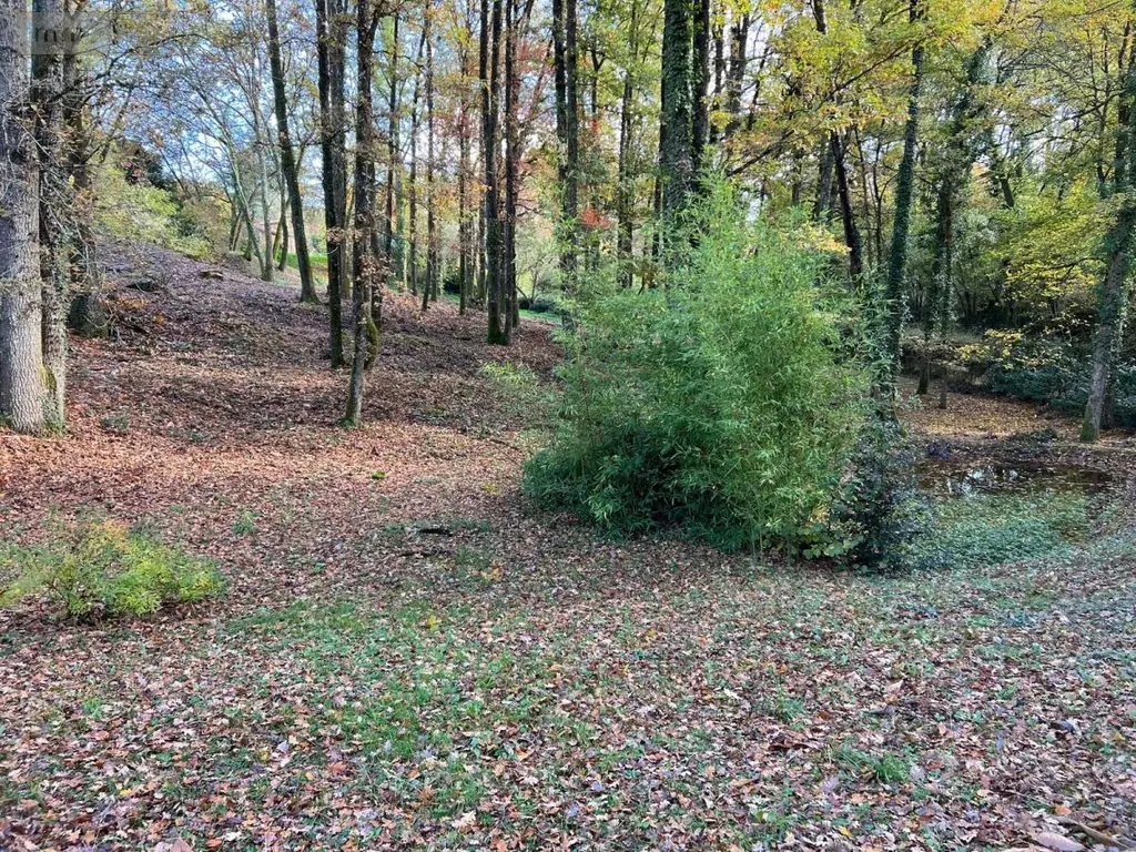 Terrain a batir a vendre Béruges 86190 Vienne 86 80000 euros 86001-74 002