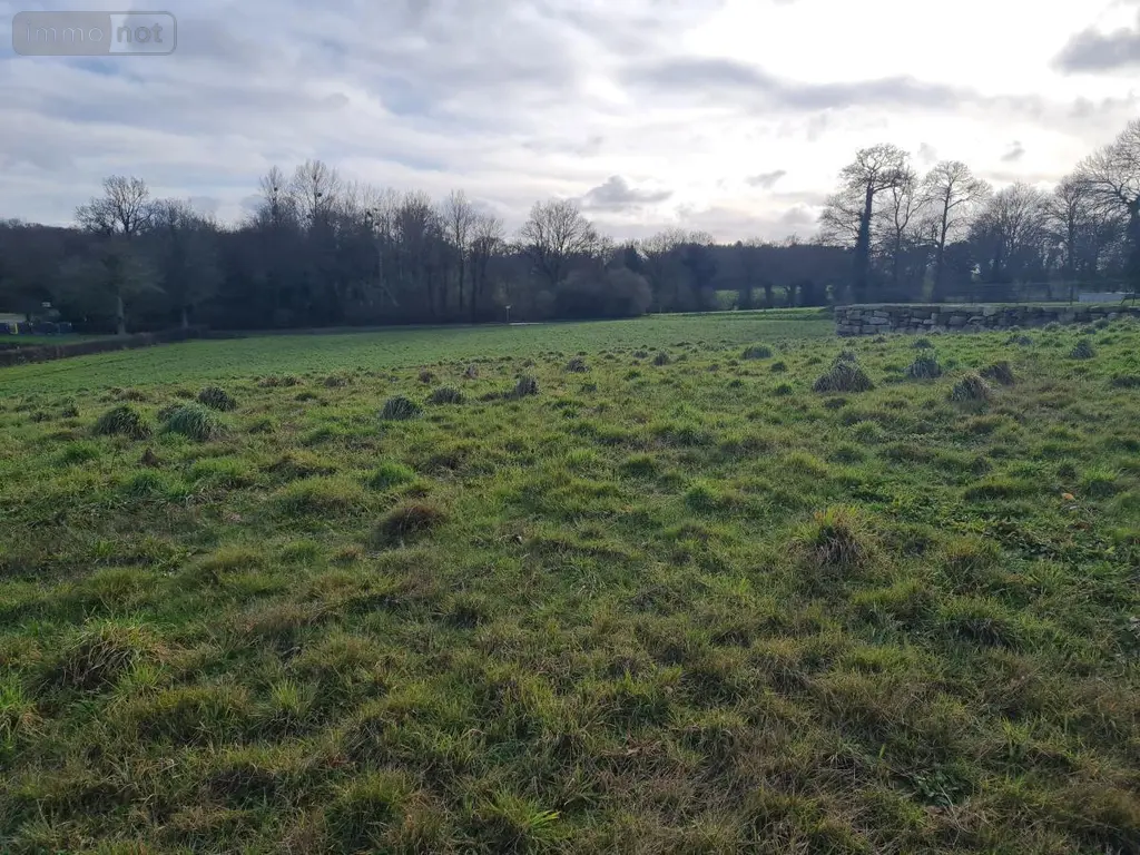 Terrain a batir a vendre Pleugriffet 56120 Morbihan 56 27400 euros 56053-2511 003