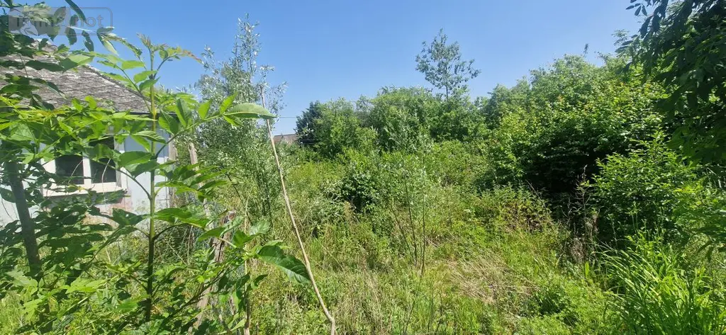 Maison a vendre Fromelles 59249 Nord 59 100 m2 194550 euros 59032-3741 005