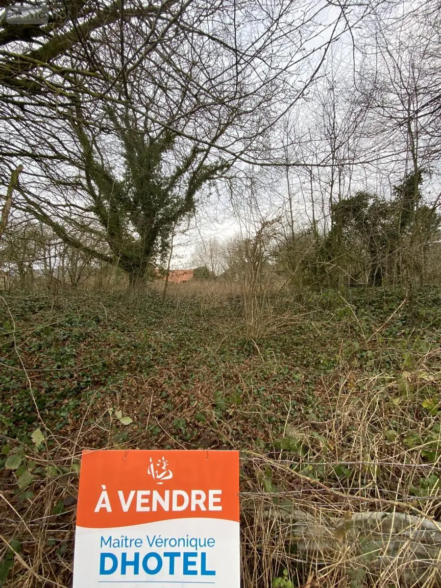 Terrain a batir a vendre Bailleulval 62123 Pas-de-Calais 62 47700 euros 62114-776 003