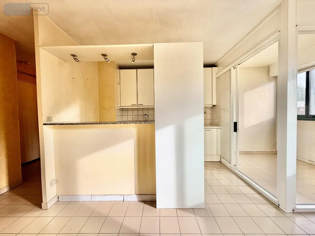 Appartement a vendre Montpellier 34000 Hérault 34 48 m2 2 pièces 200000 euros 34012-808 003