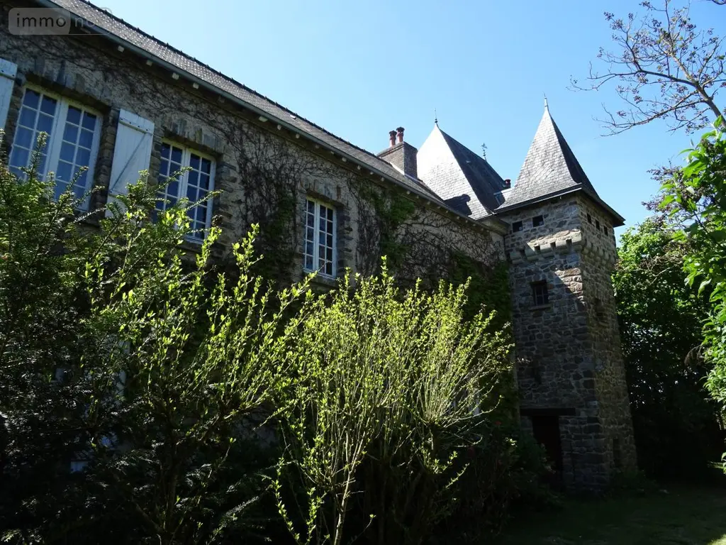 Maison a vendre Maisoncelles-du-Maine 53170 Mayenne 53 232 m2 9 pièces 385000 euros 53079-1415 002