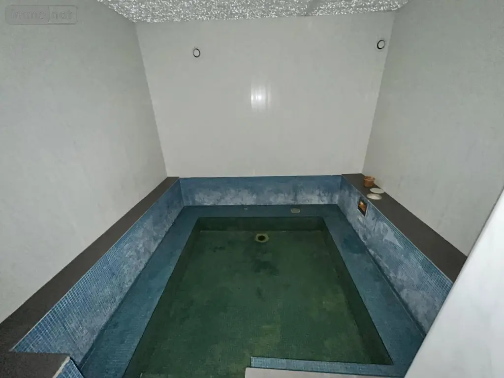 Immeuble de rapport a vendre Ingrandes-le-Fresne-sur-Loire 49123 Maine-et-Loire 49 314 m2 148300 euros 49019-3368 009