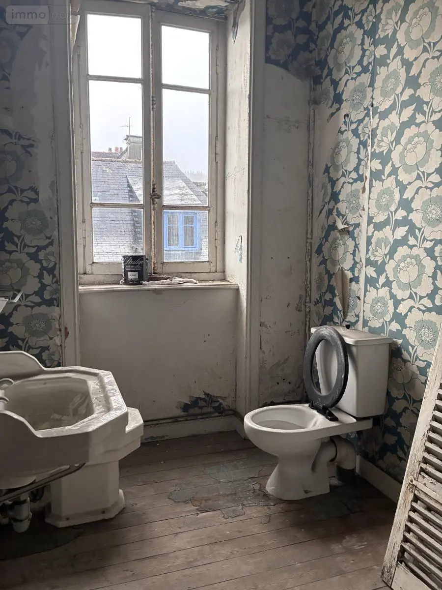Immeuble de rapport a vendre Landerneau 29800 Finistère 29 150 m2 171450 euros 29039-1479 003
