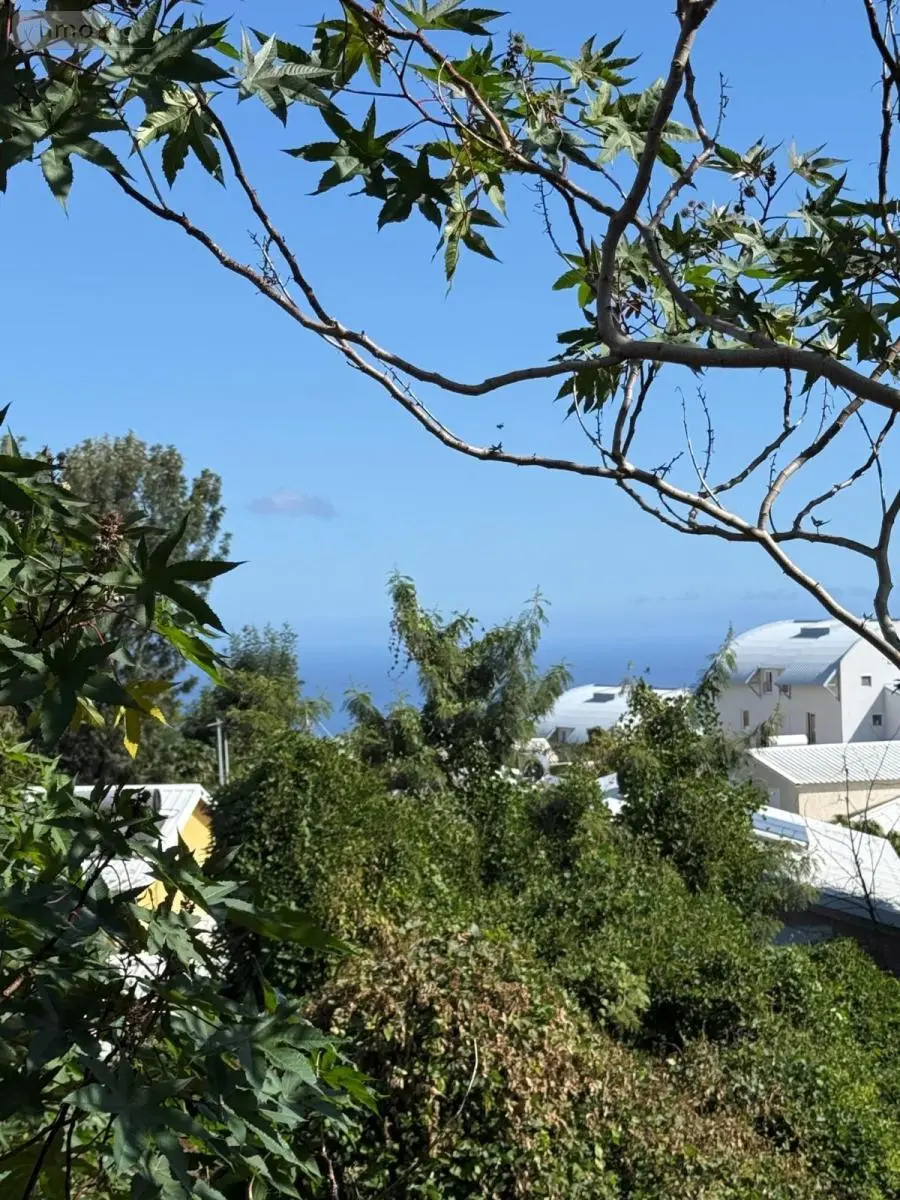 Terrain a batir a vendre Saint-Pierre 97250 Martinique 972 189900 euros 97410-739 002