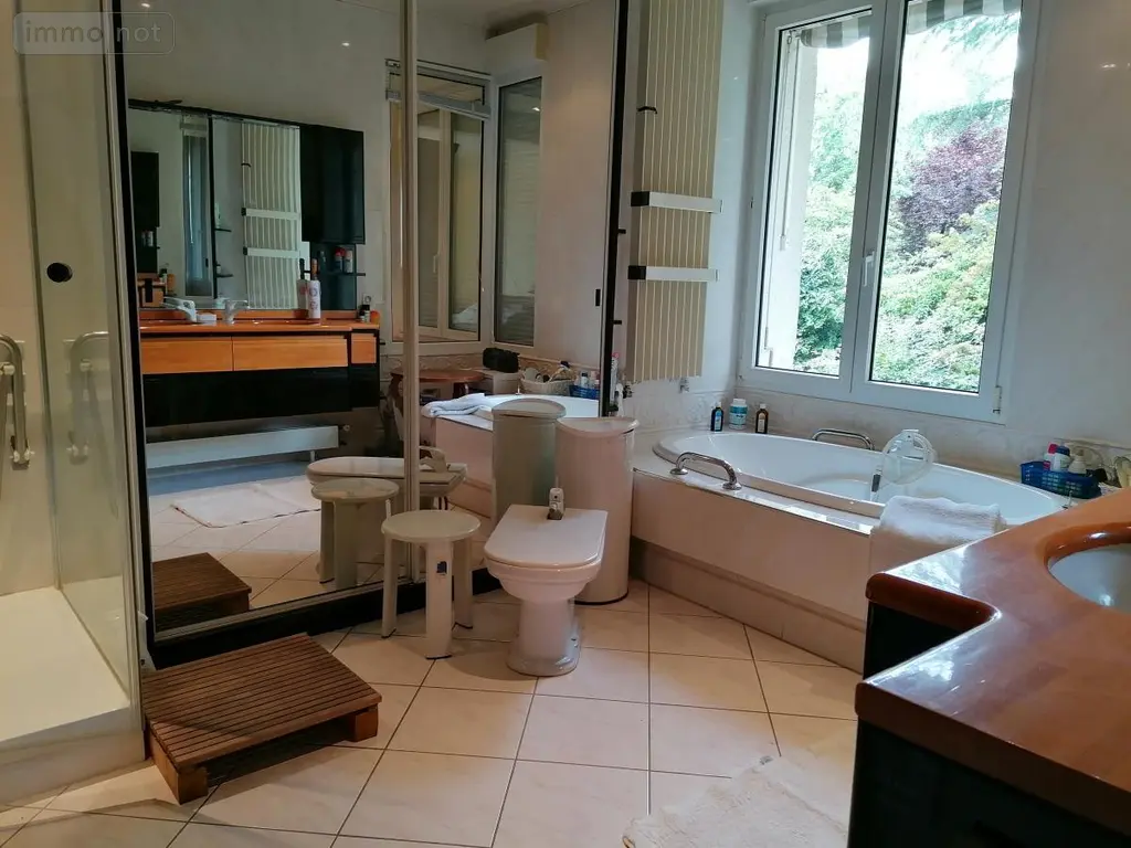 Maison a vendre Descartes 37160 Indre-et-Loire 37 414 m2 21 pièces 367500 euros 37082-299 009