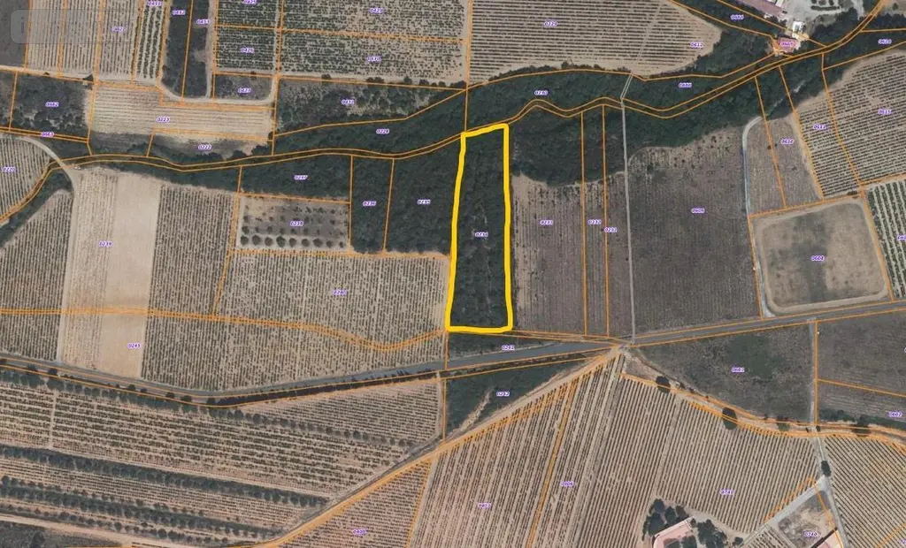 Terrains de loisirs bois etangs a vendre Montauriol 66300 Pyrénées-Orientales 66 24600 euros NEG209145 002