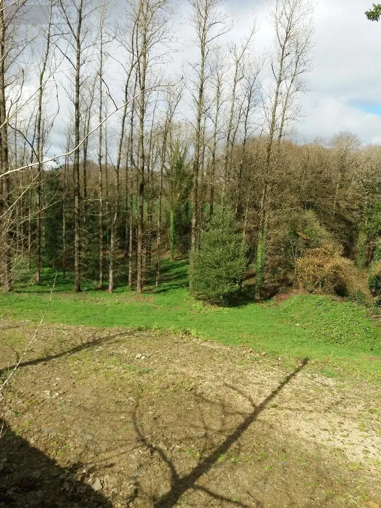 Maison a vendre Spézet 29540 Finistère 29 50 m2 2 pièces 32500 euros 29066-1026524 004