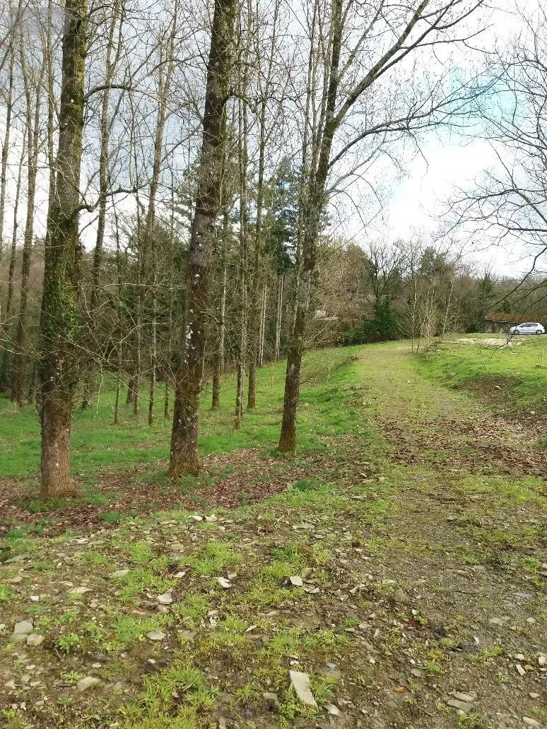 Maison a vendre Spézet 29540 Finistère 29 50 m2 2 pièces 32500 euros 29066-1026524 002