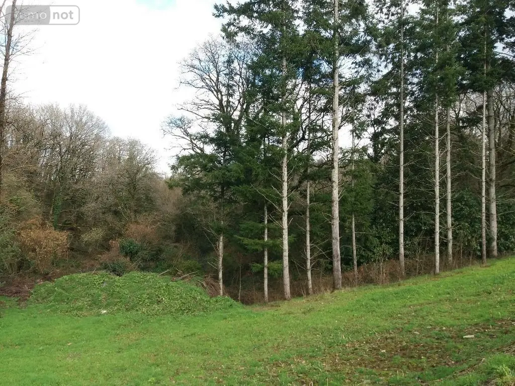 Maison a vendre Spézet 29540 Finistère 29 50 m2 2 pièces 32500 euros 29066-1026524 003