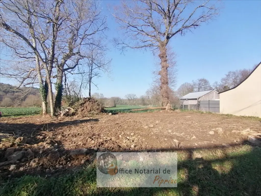 Terrain a batir a vendre Bruc-sur-Aff 35550 Ille-et-Vilaine 35 23600 euros 1005866 001