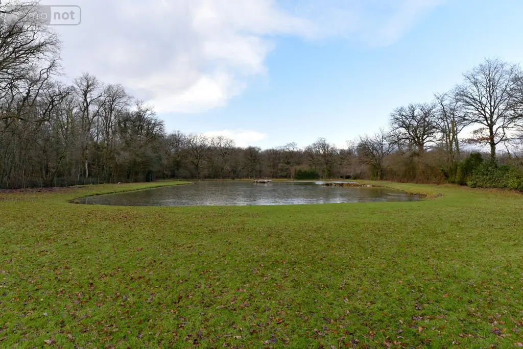 Terrains de loisirs bois etangs a vendre Mézangers 53600 Mayenne 53 63000 euros 53004-1296 003