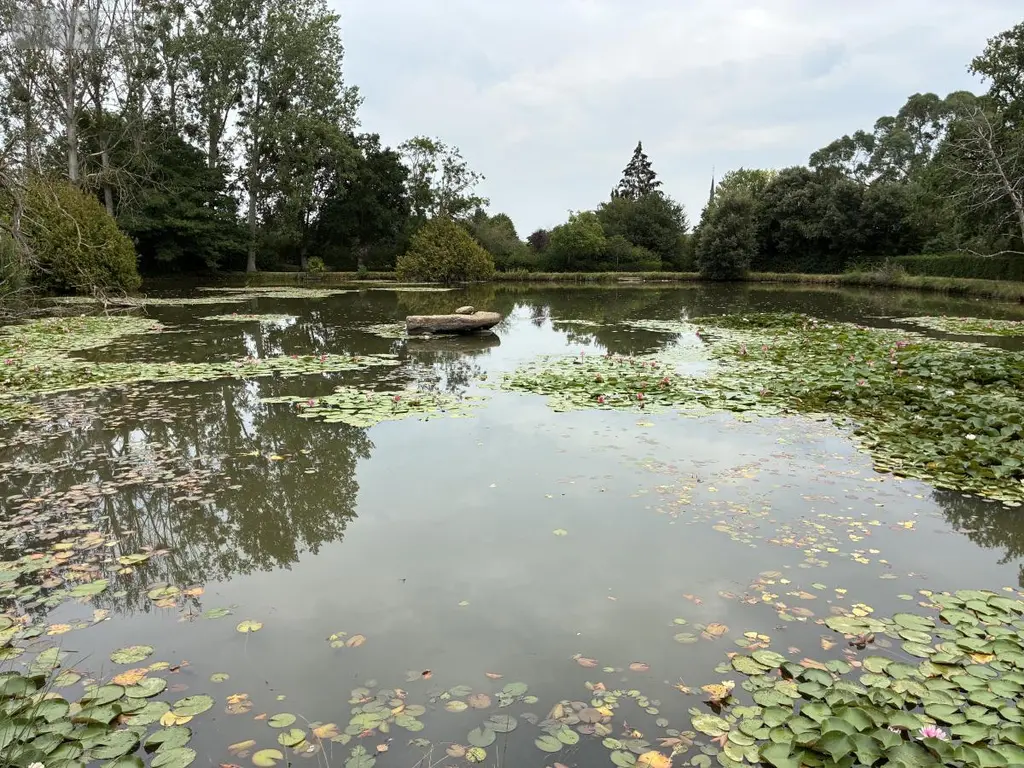Terrains de loisirs bois etangs a vendre Brée 53150 Mayenne 53 69000 euros 53004-1342 004