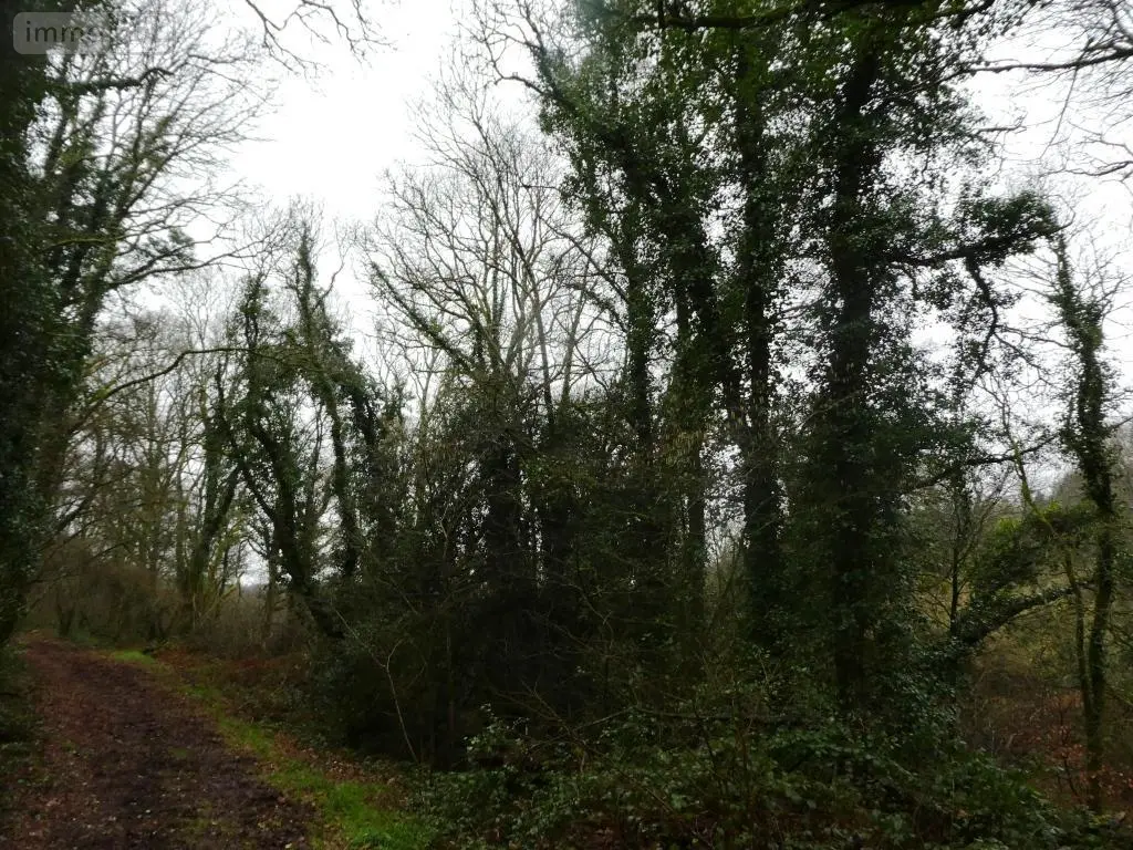 Terrains de loisirs bois etangs a vendre Saint-Tugdual 56540 Morbihan 56 10600 euros 56075-2343 007