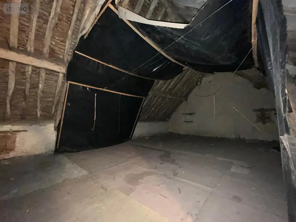 Immeuble de rapport a vendre Corquilleroy 45120 Loiret 45 266 m2 95600 euros 45051-485 005