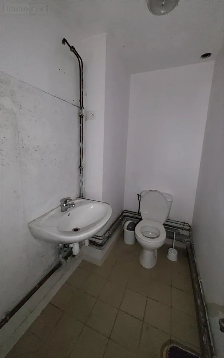 Location immeuble de rapport Carhaix-Plouguer 29270 Finistère 29 500 m2 3000 euros 29066-1031438 006