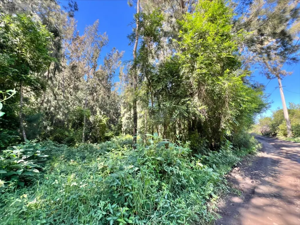 Terrain a batir a vendre Cilaos 97413 La Réunion 974 200000 euros 38119 002