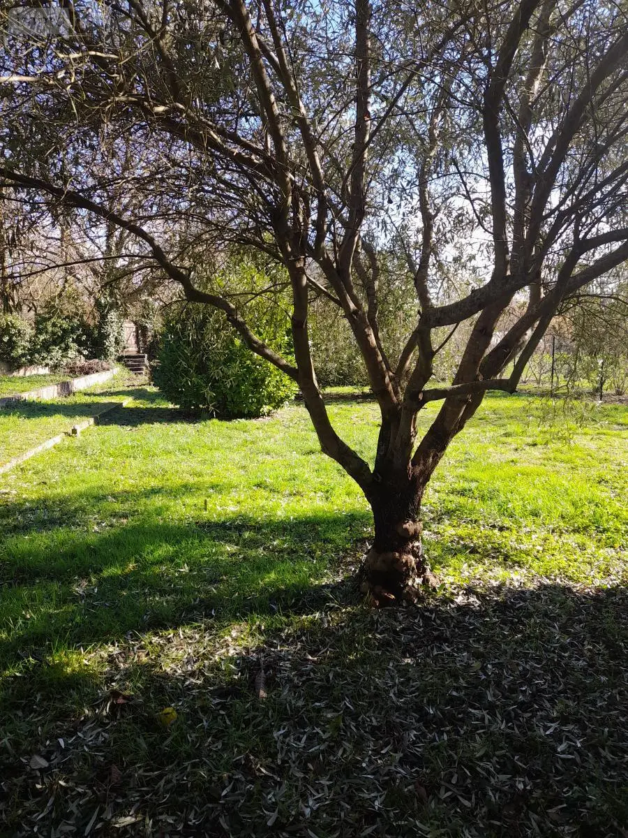 Maison a vendre Auch 32000 Gers 32 145 m2 6 pièces 198000 euros 32002-1399 010