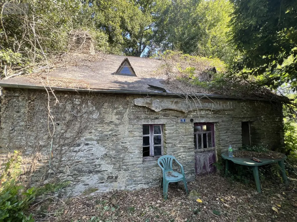 Maison a vendre Guillac 56800 Morbihan 56 90 m2 58000 euros 56044-1559 002