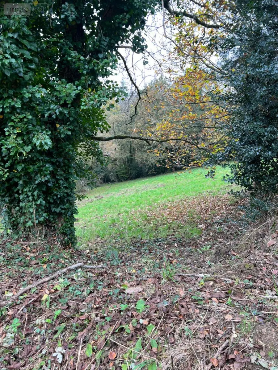 Maison a vendre Châteaulin 29150 Finistère 29 232 m2 10 pièces 210000 euros 29060-1070666 002