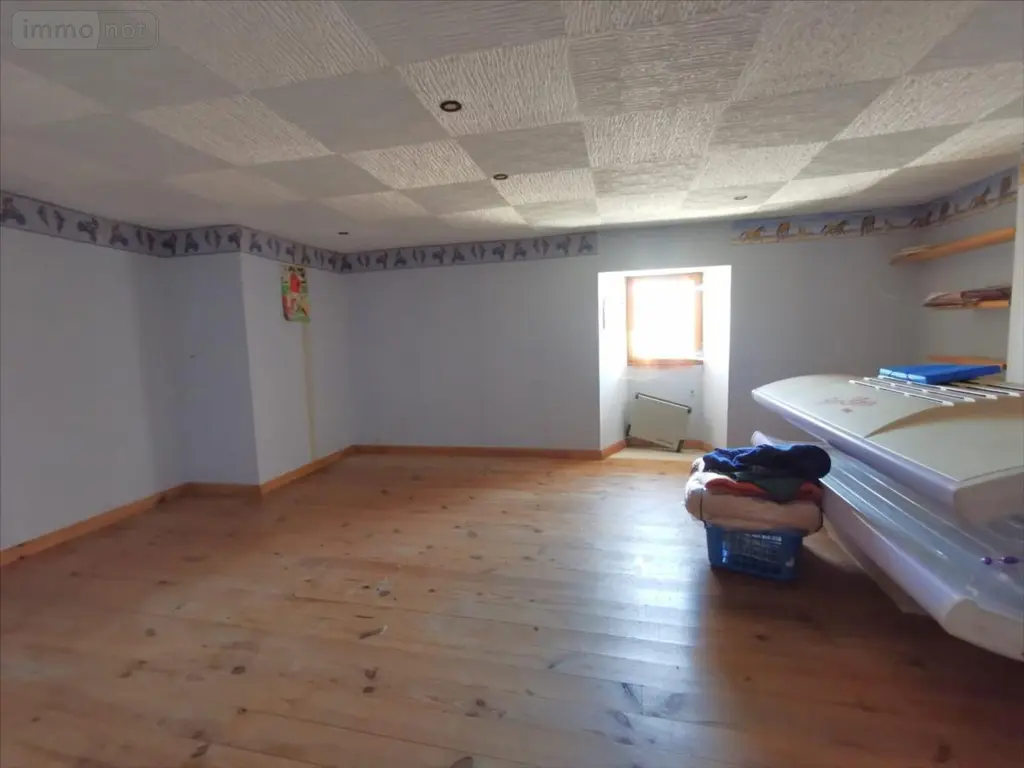 Maison a vendre Braye-sous-Faye 37120 Indre-et-Loire 37 120 m2 5 pièces 43000 euros 37067-1094337 010