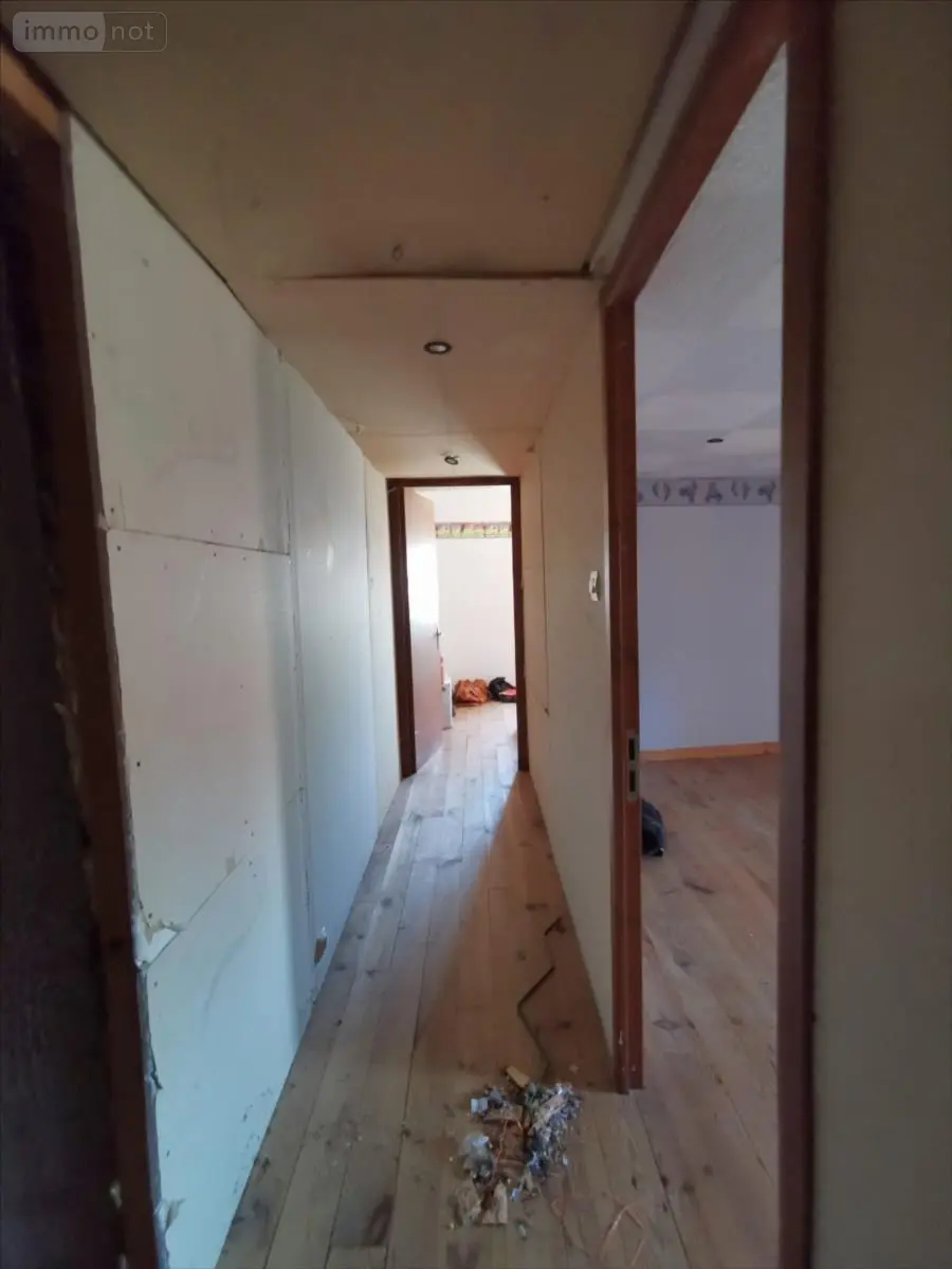 Maison a vendre Braye-sous-Faye 37120 Indre-et-Loire 37 120 m2 5 pièces 43000 euros 37067-1094337 019