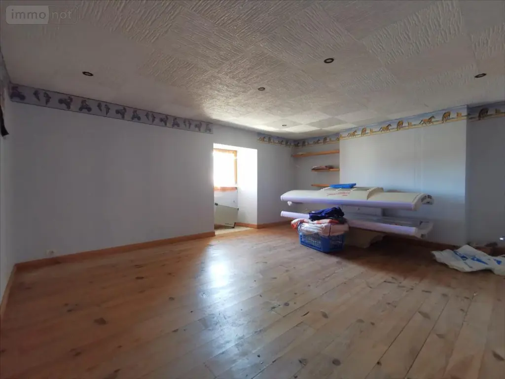 Maison a vendre Braye-sous-Faye 37120 Indre-et-Loire 37 120 m2 5 pièces 43000 euros 37067-1094337 008