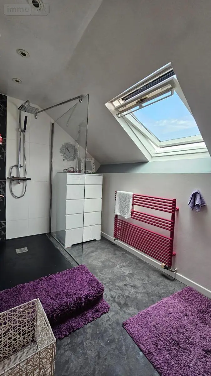 Maison a vendre Saint-Ouen 41100 Loir-et-Cher 41 167 m2 7 pièces 290920 euros 41050-2795 016