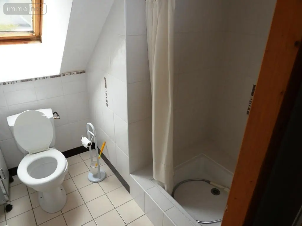 Immeuble de rapport a vendre Bubry 56310 Morbihan 56 400 m2 241600 euros 56075-2357 018