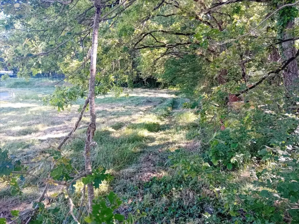 Terrain a batir a vendre Saint-Mars-d'Outillé 72220 Sarthe 72 52567 euros 72012-1053090 003