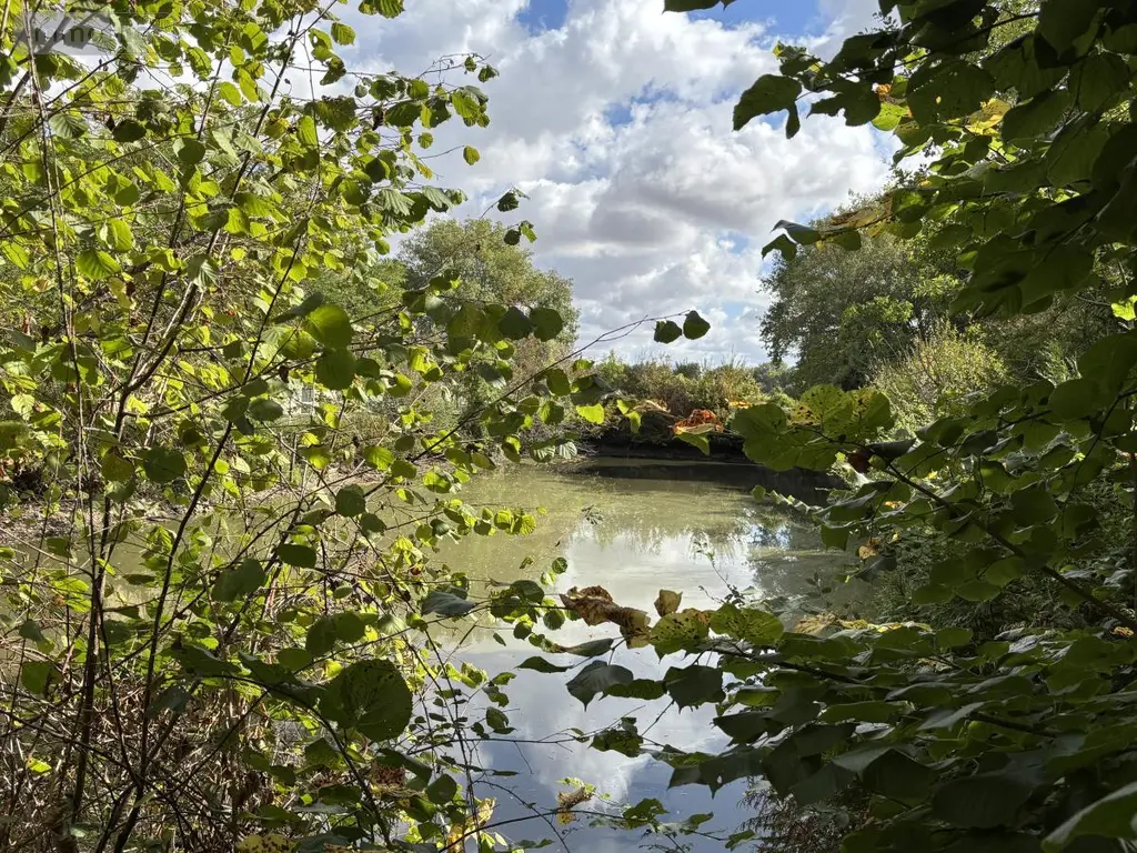 Terrains de loisirs bois etangs a vendre Beaumont-sur-Sarthe 72170 Sarthe 72 37640 euros 72126-3245 004