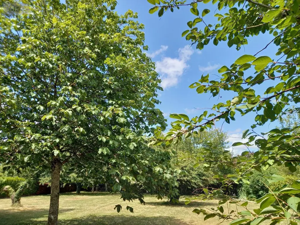 Terrain a batir a vendre Châtelain 53200 Mayenne 53 32100 euros 53039-376 002