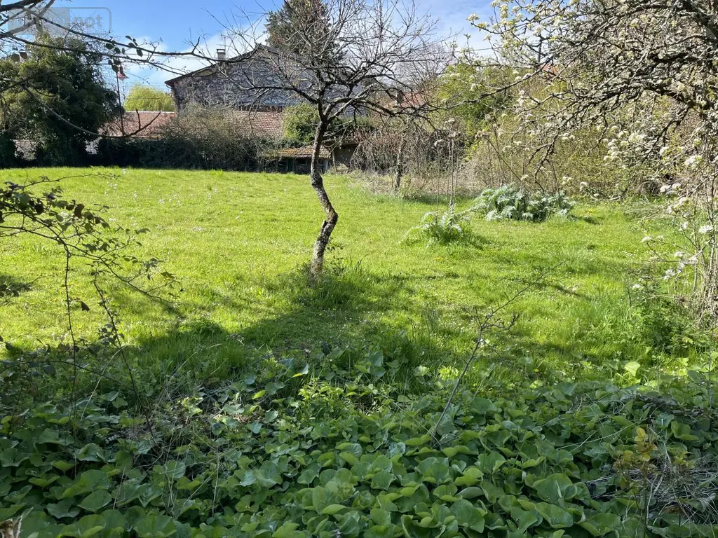 Terrain a batir a vendre Châtillon-la-Palud 01320 Ain 01 115000 euros 01067-966 003