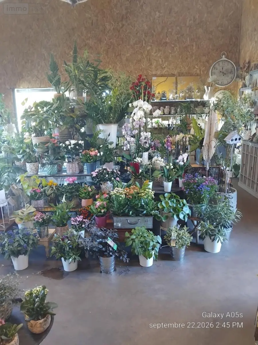 Fonds et murs commerciaux a vendre Candé 49440 Maine-et-Loire 49 100 m2 40500 euros 49095-1663 002