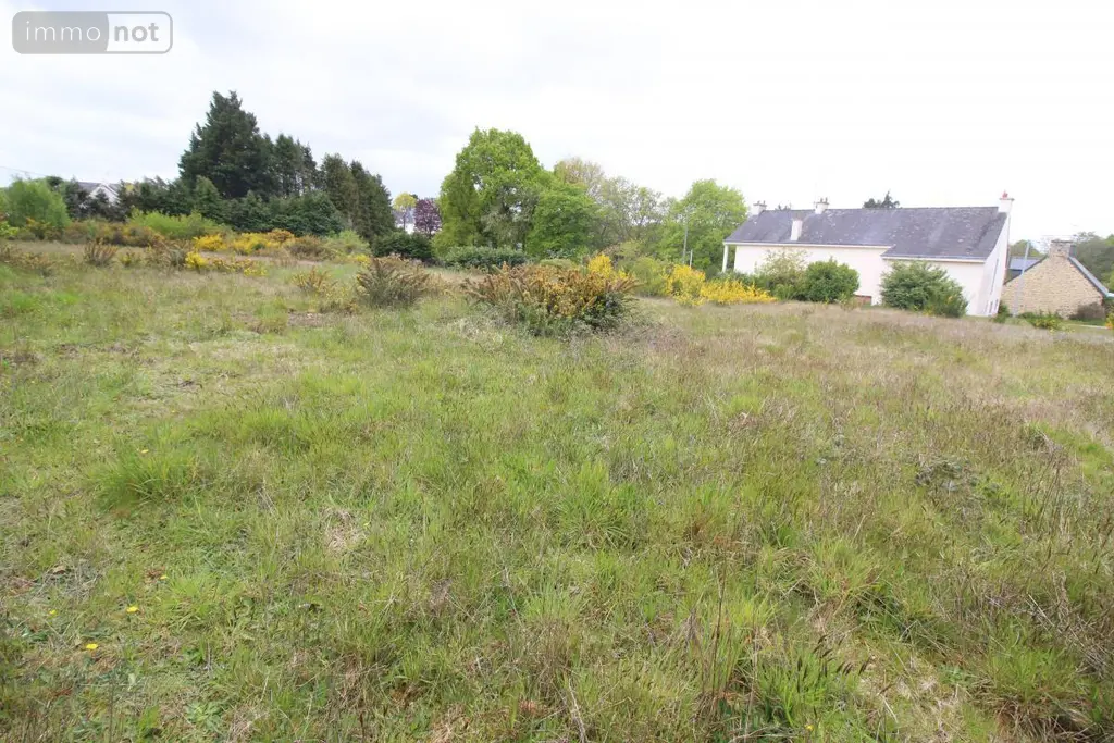 Terrain a batir a vendre Meslan 56320 Morbihan 56 65672 euros 56087-200 002