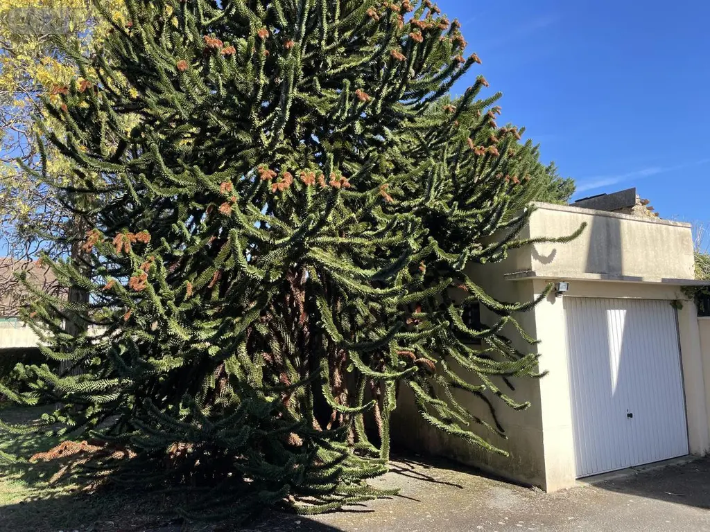 Maison a vendre Marolles-les-Braults 72260 Sarthe 72 160 m2 9 pièces 260800 euros 72126-3236 028