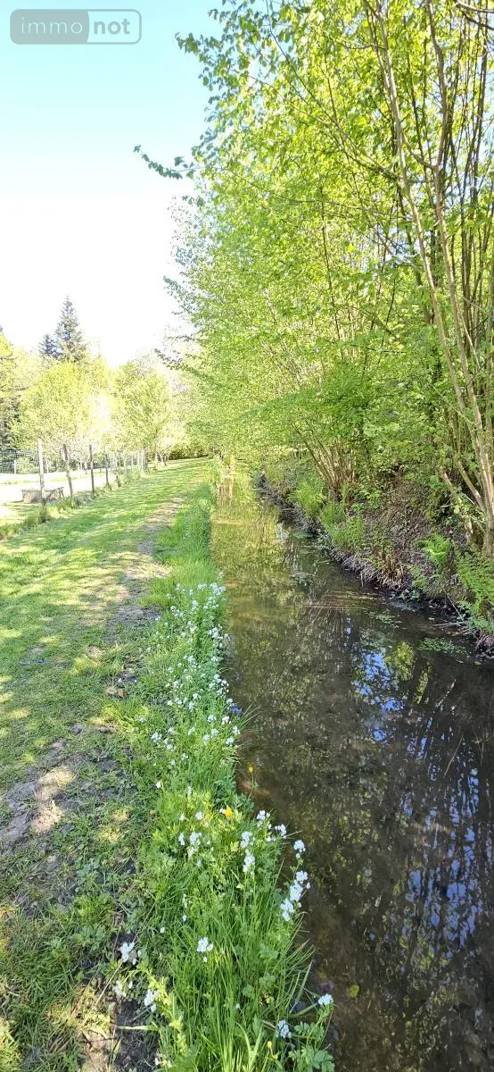 Maison a vendre Ménil-sur-Belvitte 88700 Vosges 88 300 m2 9 pièces 489000 euros 88061-851 009