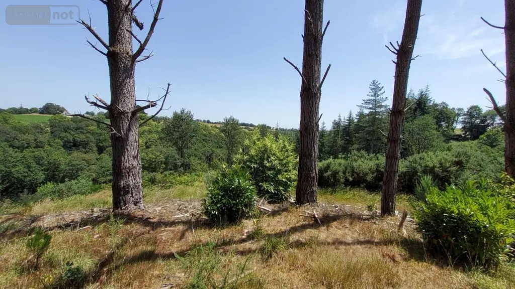 Maison a vendre Plounévézel 29270 Finistère 29 160 m2 6 pièces 189000 euros 29066-3869 014