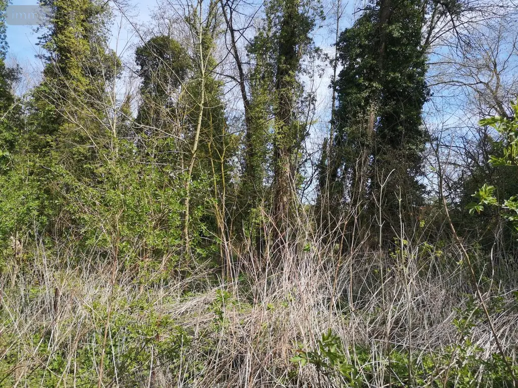 Terrains de loisirs bois etangs a vendre Thun-Saint-Martin 59141 Nord 59 4700 euros 59084-1559 003