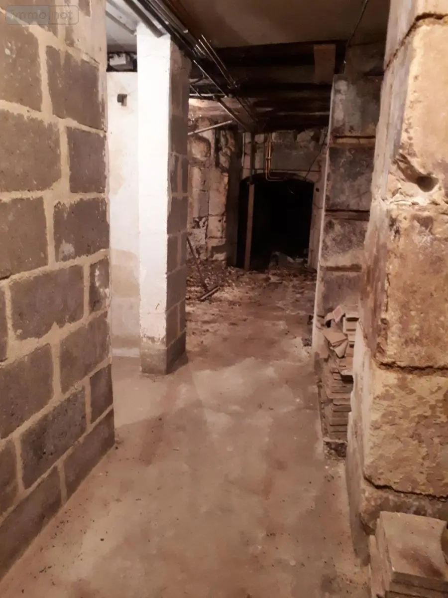 Immeuble de rapport a vendre Montoire-sur-le-Loir 41800 Loir-et-Cher 41 100 m2 99800 euros 41059-940 006