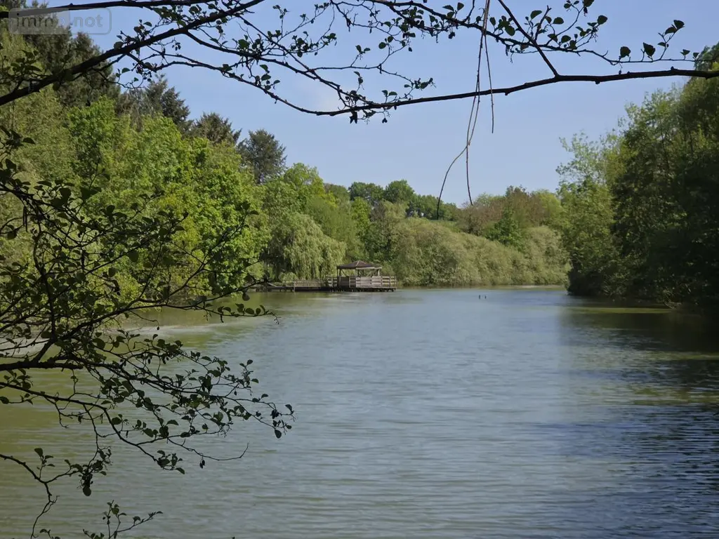 Terrains de loisirs bois etangs a vendre La Roche-Neuville 53200 Mayenne 53 95700 euros 53073-1758 013