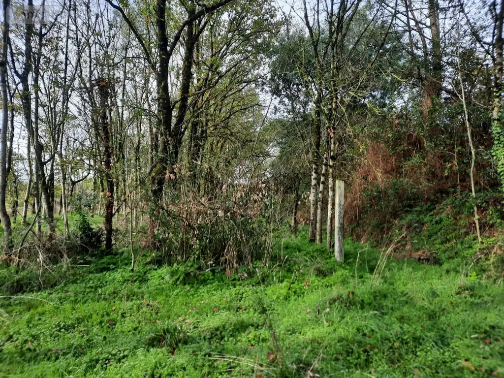 Terrains de loisirs bois etangs a vendre Aizenay 85190 Vendée 85 41280 euros 85091-5199 004