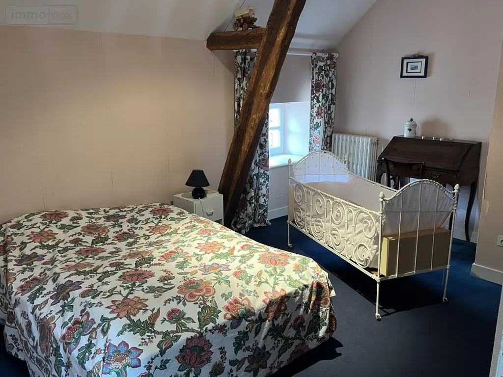 Maison a vendre Broût-Vernet 03110 Allier 03 310 m2 14 pièces 480000 euros 63022-38 027