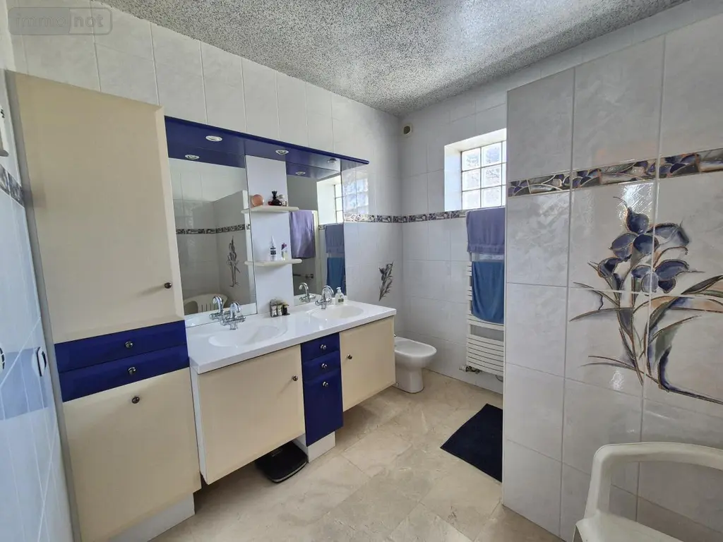 Maison a vendre Bréal-sous-Montfort 35310 Ille-et-Vilaine 35 249 m2 7 pièces 678650 euros 56049-851 013