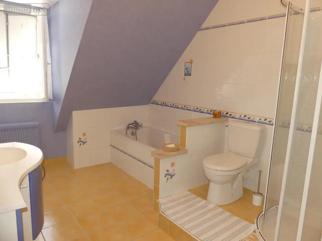 Maison a vendre Saint-Doulchard 18230 Cher 18 200 m2 7 pièces 475000 euros 18004-4146 009