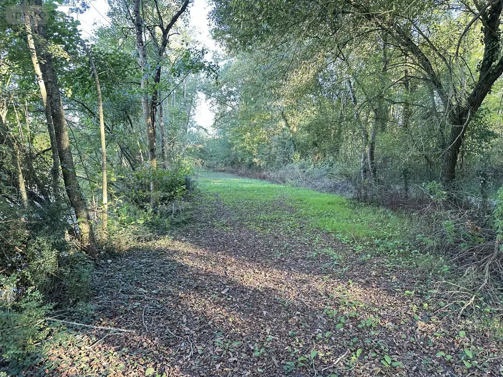 Terrains de loisirs bois etangs a vendre Saint-Georges-de-Montaigu 85600 Vendée 85 83900 euros 85020-1498 008