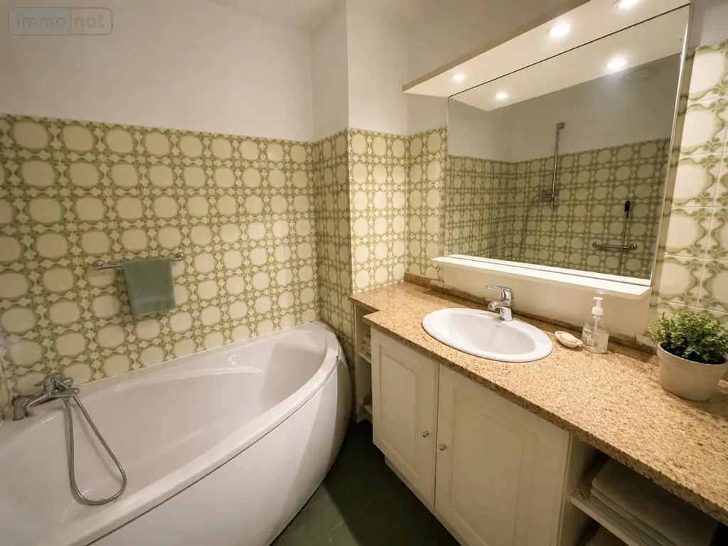 Appartement a vendre Toulouse 31000 Haute-Garonne 31 60 m2 2 pièces 170000 euros 31003-163 006