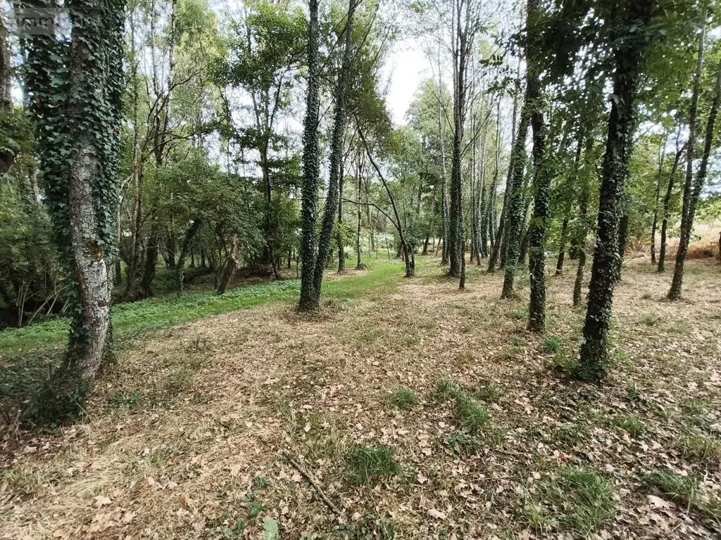 Maison a vendre Marzan 56130 Morbihan 56 94 m2 5 pièces 289500 euros 56014-827 014
