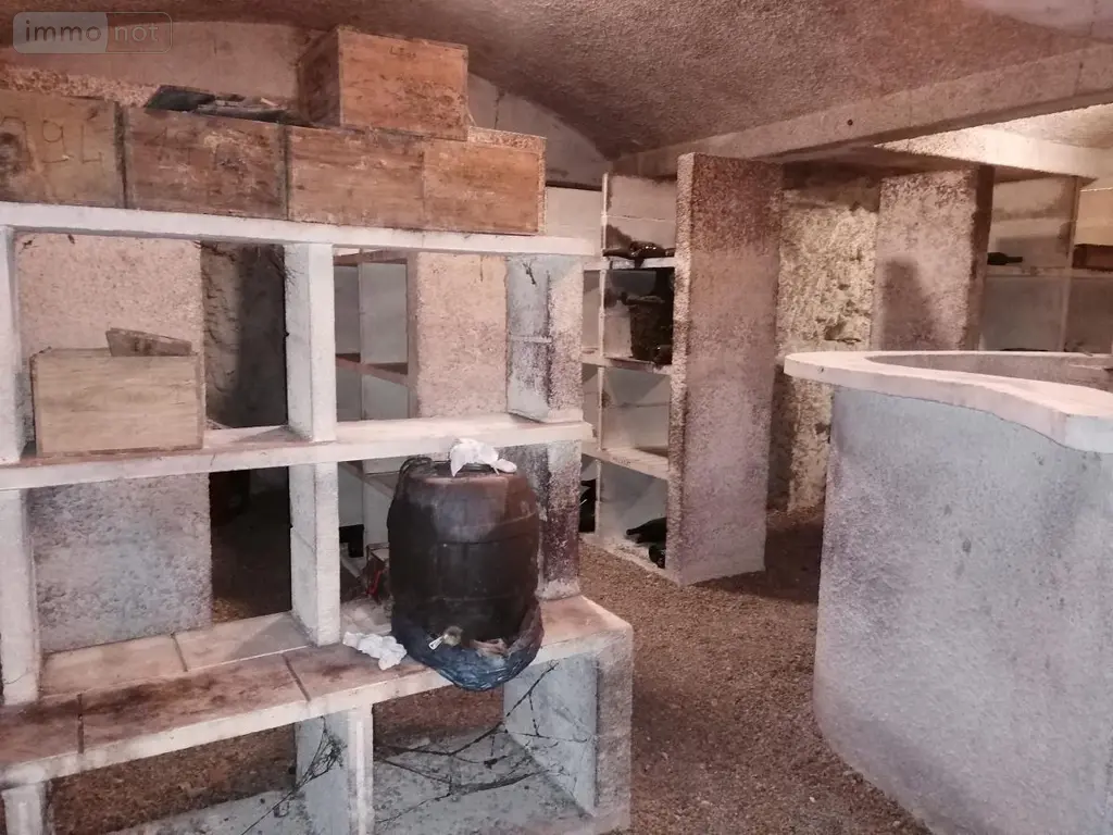 Maison a vendre Marcé-sur-Esves 37160 Indre-et-Loire 37 363 m2 11 pièces 525000 euros 37082-316 011