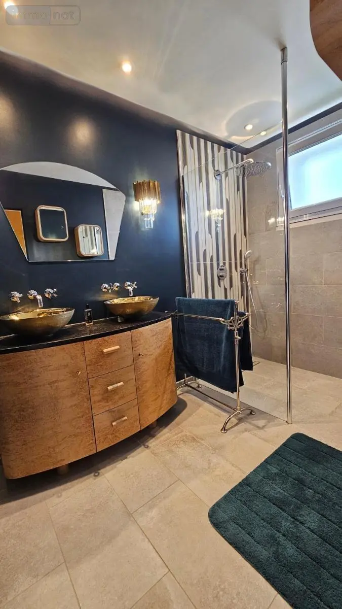 Maison a vendre Saint-Ouen 41100 Loir-et-Cher 41 167 m2 7 pièces 290920 euros 41050-2795 010